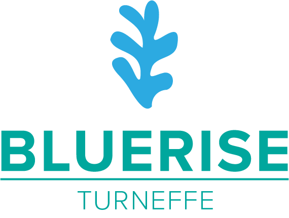 bluerise_turneffe_bluefinance